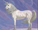 unicorn